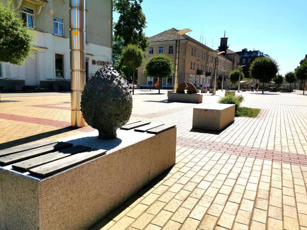 Апартаменты Cosy center Apartment Клайпеда
